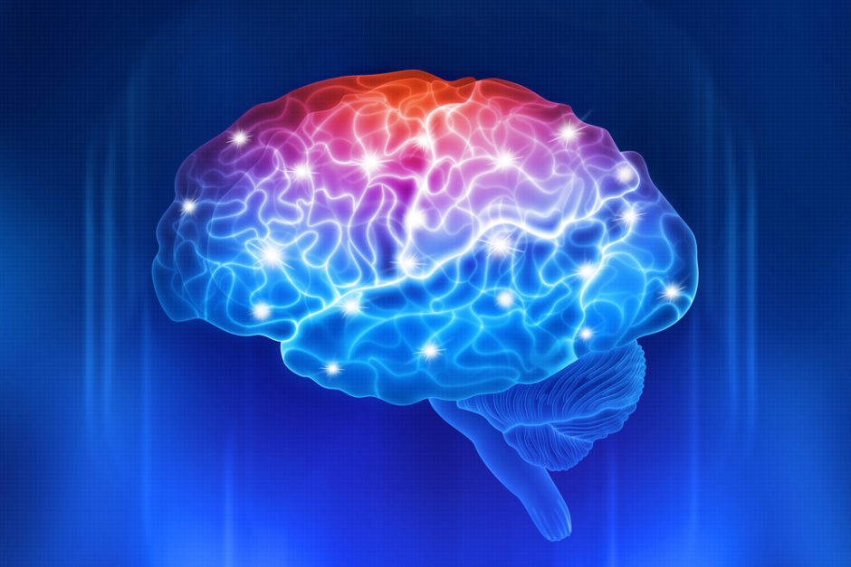 Neuroscience brain image